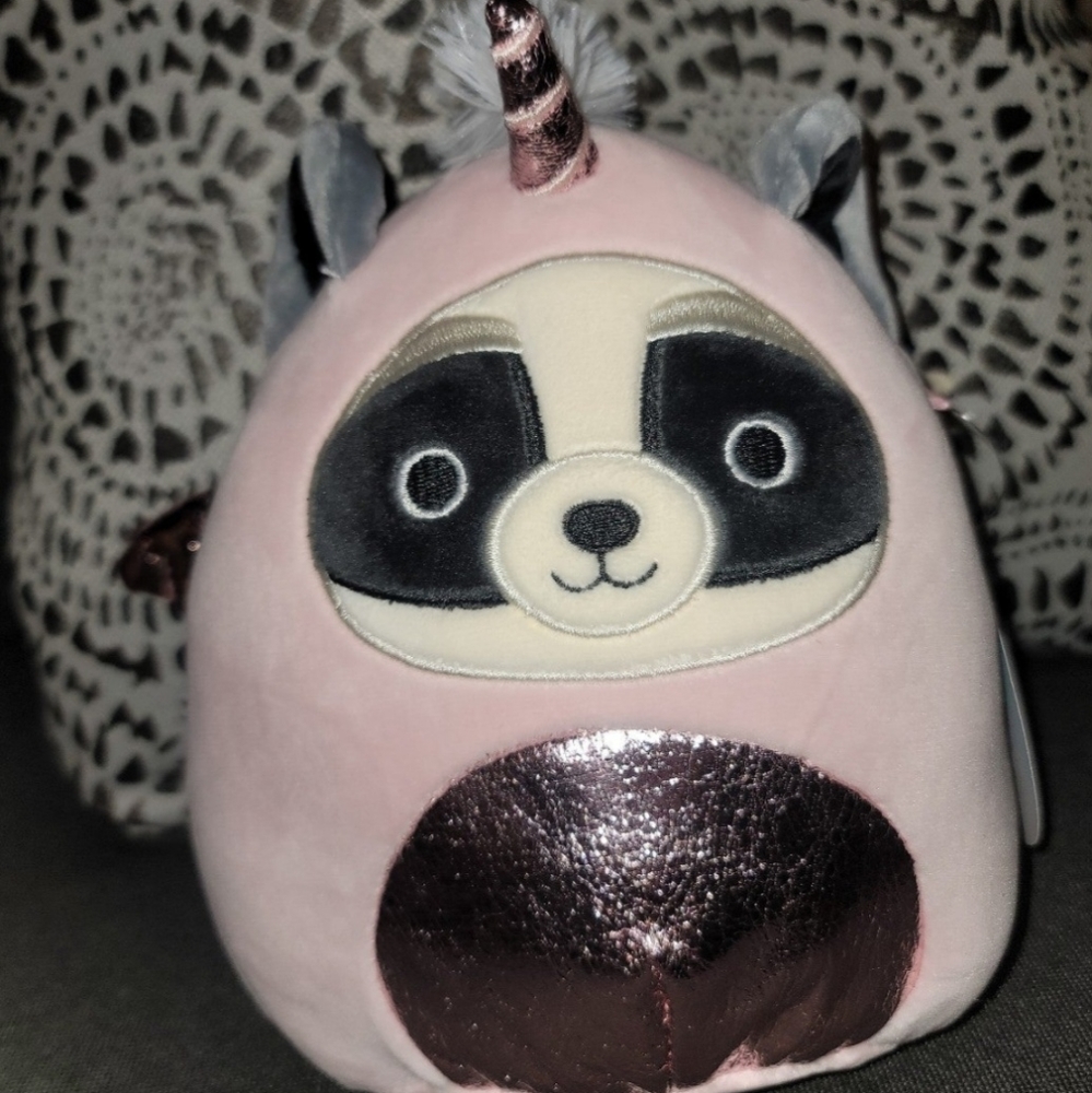 Rocky the Raccoon